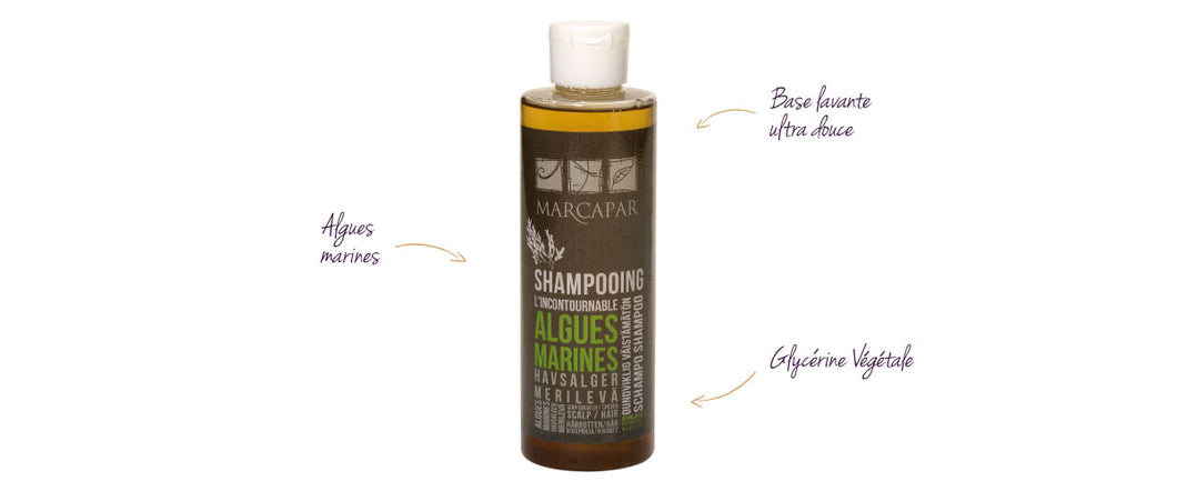 Shampoing hydratant aux algues  -Marcapar - Hydrating seawseed shampoo