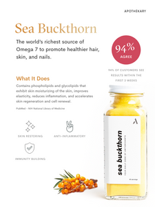 Argousier - Apothekary - Sea buckthorn