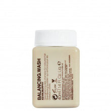 Load image into Gallery viewer, Mini Kevin Murphy

